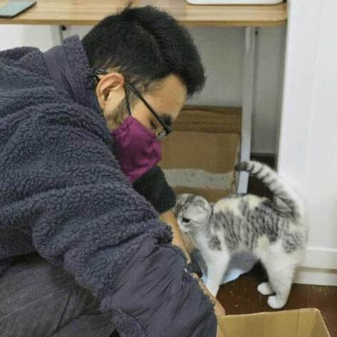 Wuhan Man Hailed Hero for Taking Care Of Abandoned Animals During Peak of Coronavirus Outbreak in China