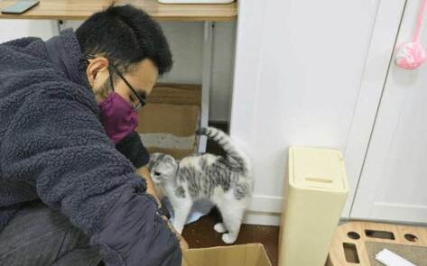 Wuhan Man Hailed Hero for Taking Care Of Abandoned Animals During Peak of Coronavirus Outbreak in China