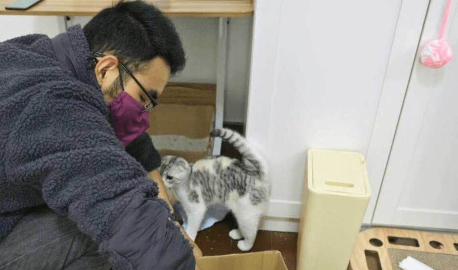 Wuhan Man Hailed Hero for Taking Care Of Abandoned Animals During Peak of Coronavirus Outbreak in China