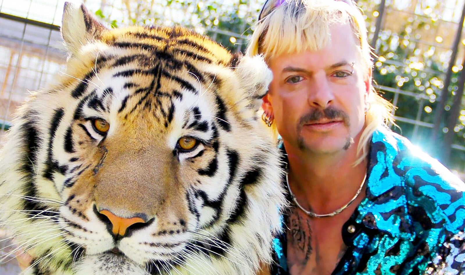 Did You Binge Watch <i>Tiger King</i>? Now There’s a Way You Can Help Tiger Cubs