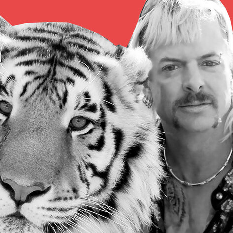 New Undercover Footage Shows <i>Tiger King</i> Stars Brutally Abusing Animals&nbsp;