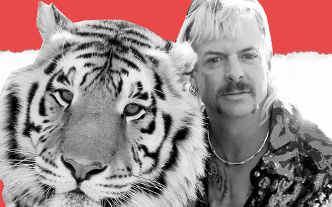 VegNews.TigerKingGraphic