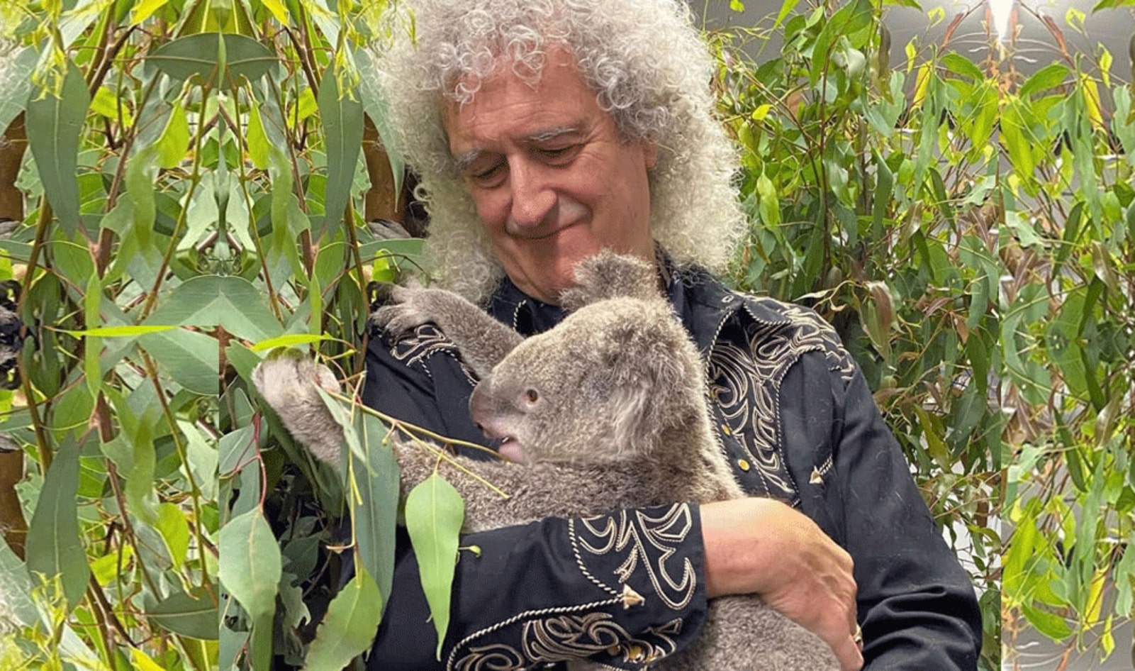 COVID-19 Pandemic Inspires Queen Guitarist Brian May to Step Up Vegan Activism