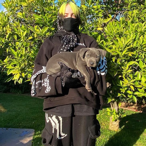 Billie Eilish Adopts Pit Bull Puppy She Was Fostering During Quarantine 