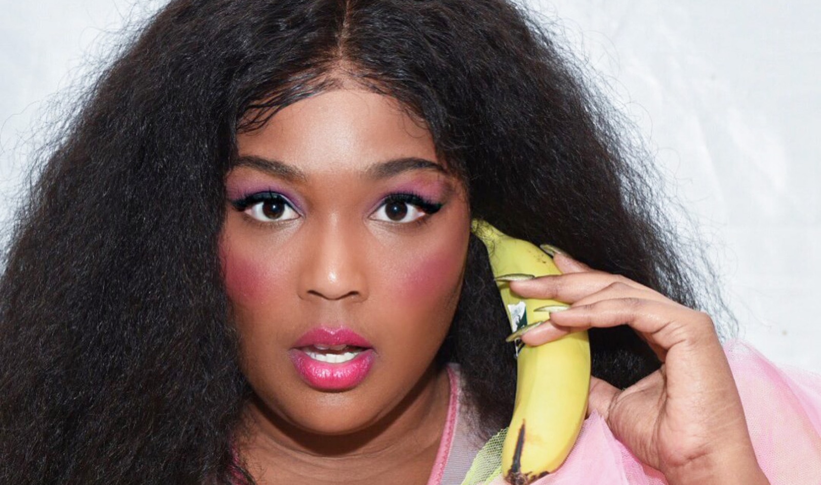 Lizzo Is Cooking Spicy Vegan Chicken Sandwiches During Lockdown