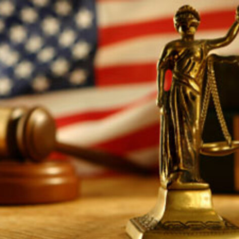 Law Hides Animal Cruelty Cases