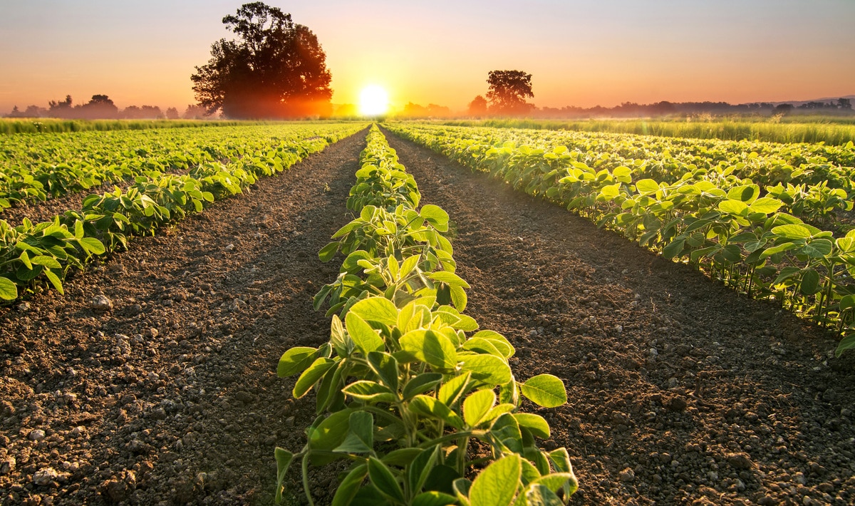 EU to Promote PlantBased Shift With 11 Billion “Farm to Fork Strategy