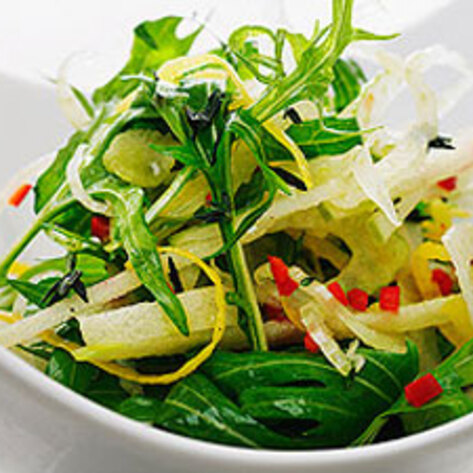 Otarian Opens in London