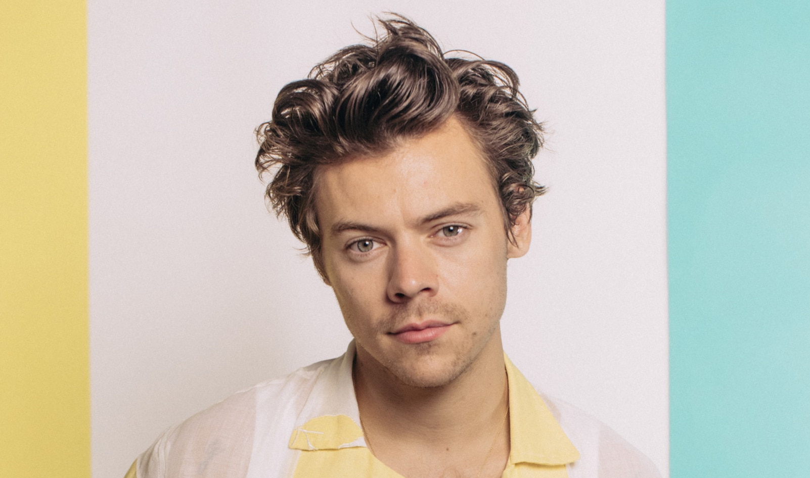 Harry Styles Ditches Meat