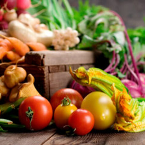 World Go Vegan Month