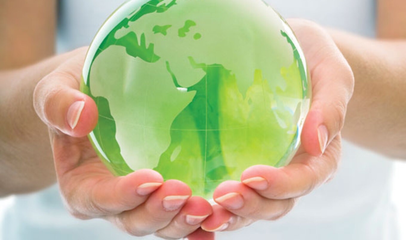 New Study: Plant-Based Diet May Save Planet
