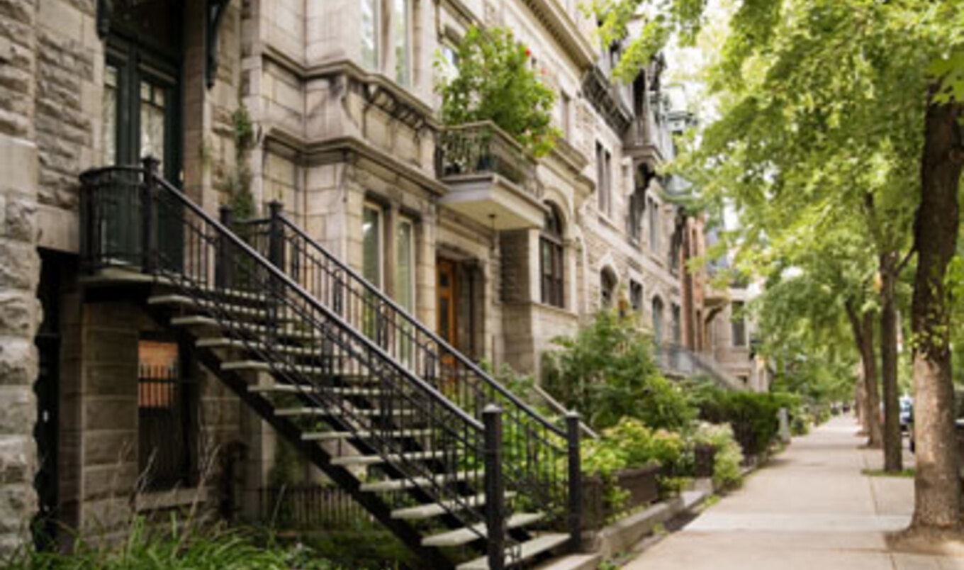 Urban Reforestation 101