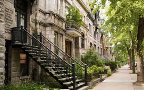 Urban Reforestation 101