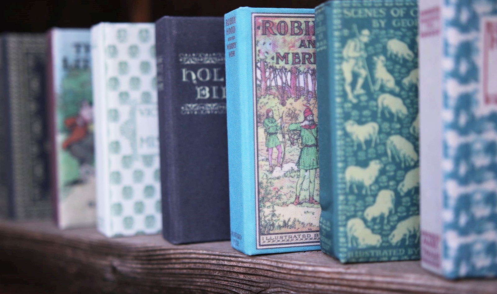 VegNews.NovelBookwallet