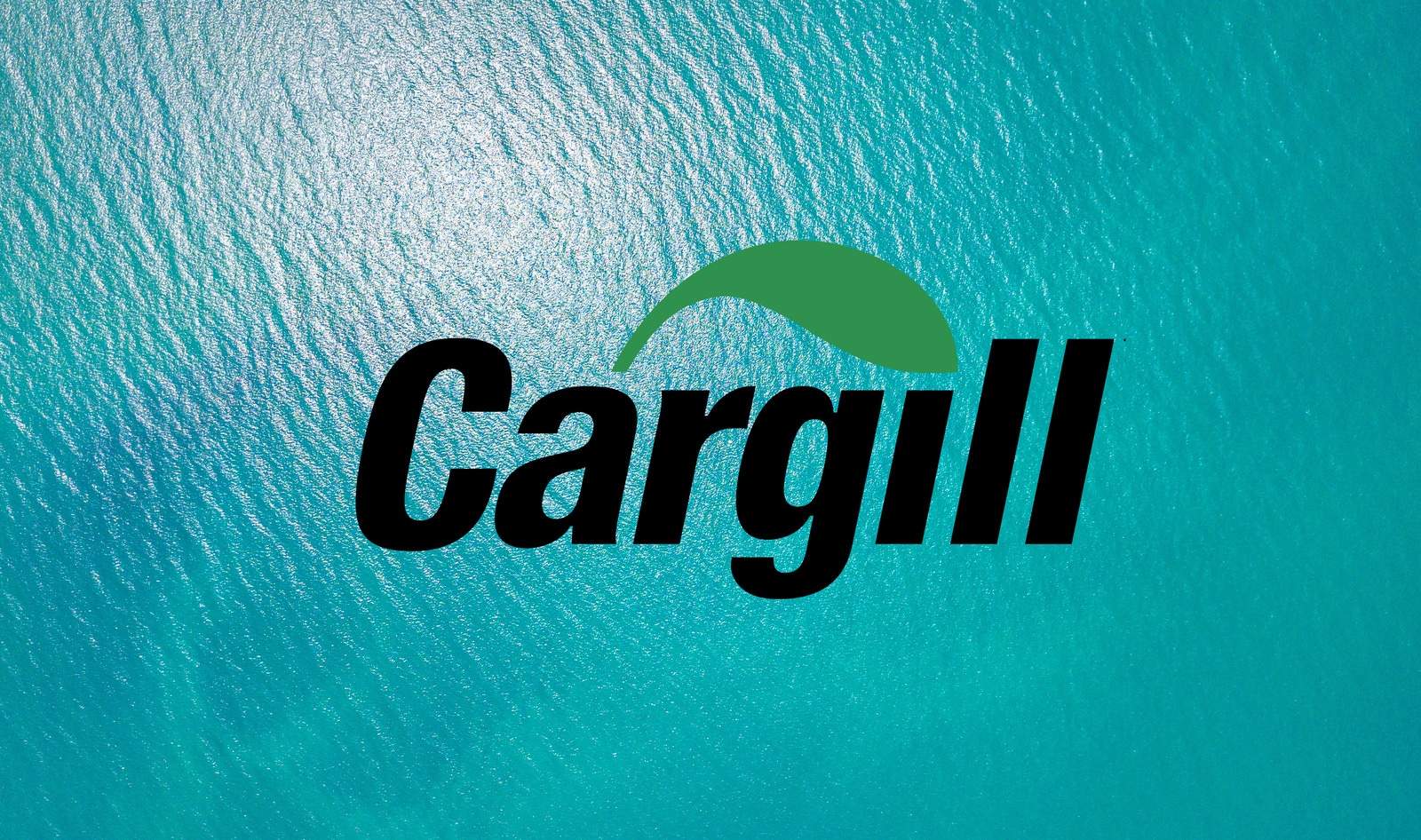 Cargill Launches Vegan Scallops at Japanese Convenience Store