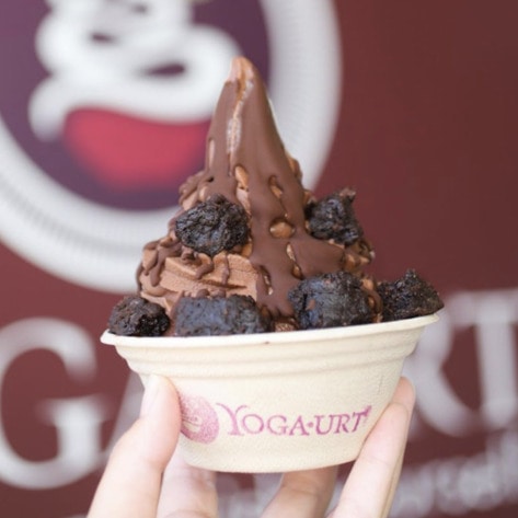 31 Reasons to Celebrate Billie Eilish's Go-To Fro-Yo Shop