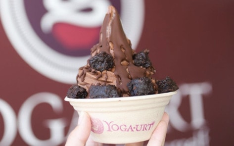 31 Reasons to Celebrate Billie Eilish's Go-To Fro-Yo Shop
