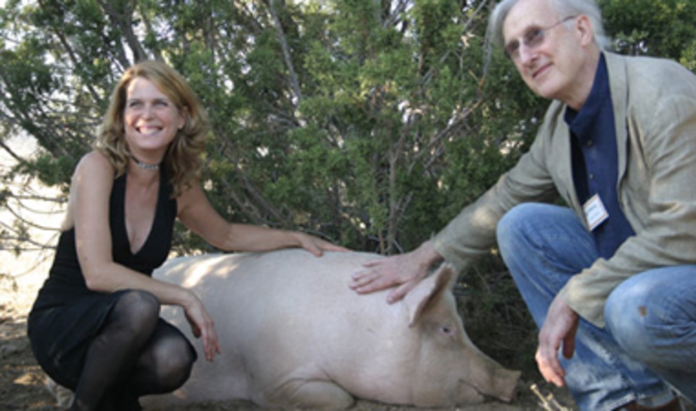 Animal Acres Awarded