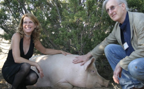 Animal Acres Awarded