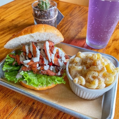 9 Amazing Vegan Restaurants in North Florida 