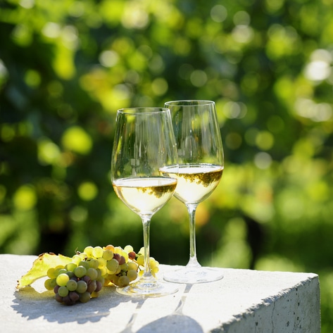 10 Exceptional White Wines You Didn’t Know Were Vegan