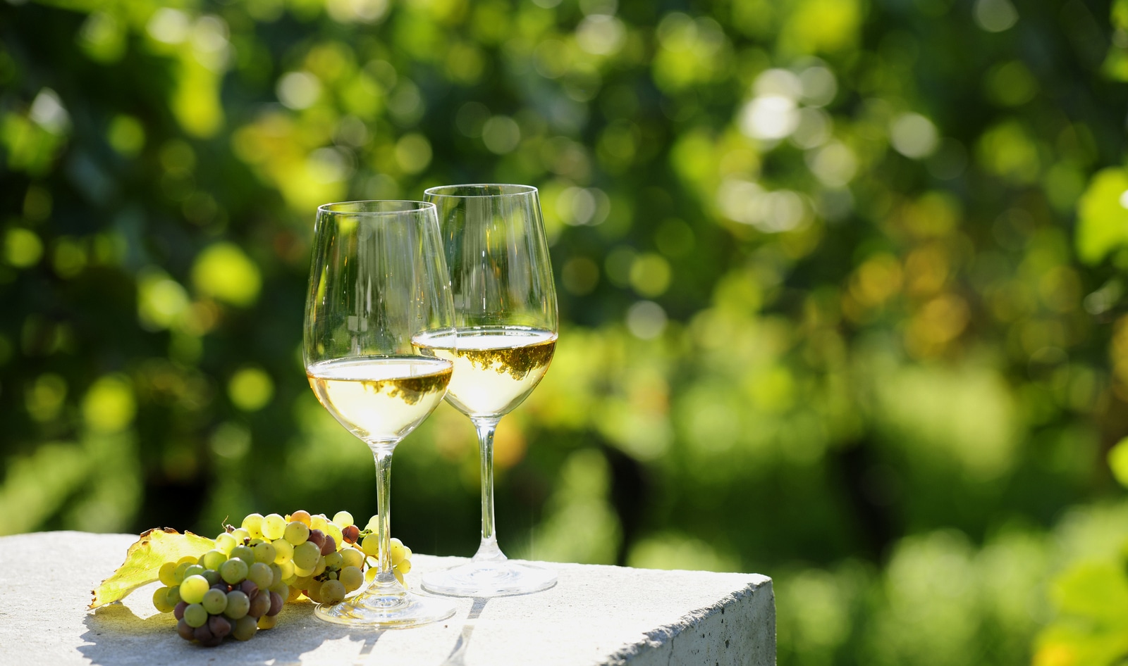 Exceptional White Wines You Didn’t Know Were Vegan