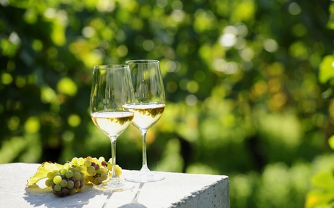 10 Exceptional White Wines You Didn’t Know Were Vegan