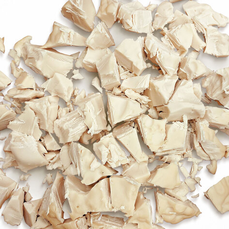 Startup Creates World’s First Slaughter-Free Chicken Protein for Dogs and Cats