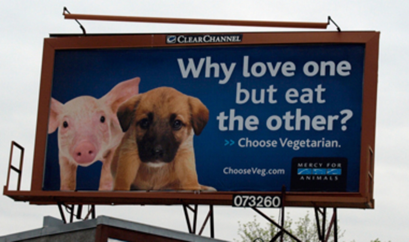 MFA Billboard Campaign