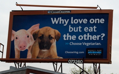 MFA Billboard Campaign