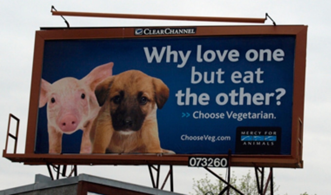 MnplsPuppyPigletBillboard