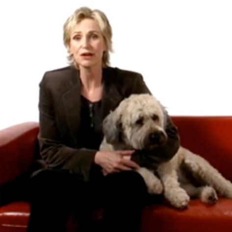Jane Lynch PSA