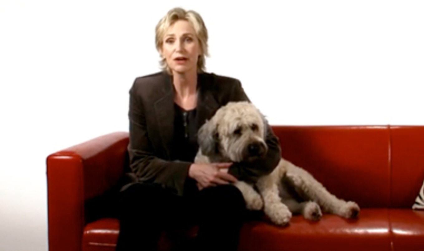Jane Lynch PSA