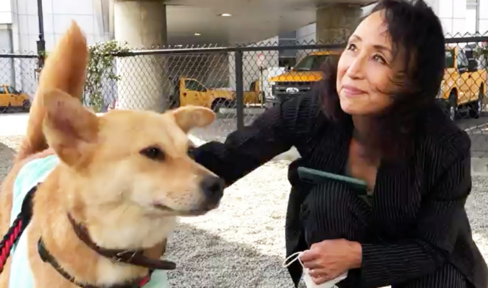 Miyoko’s Founder Helps Rescue Dog from South Korean Meat Trade