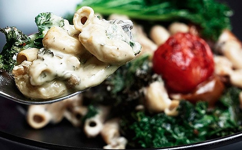 Vegan Company Closes Historic $1 Million Capital Round