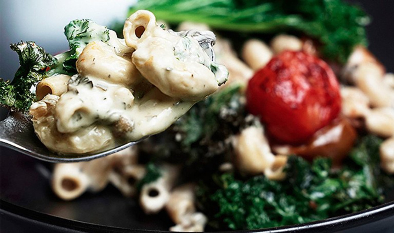 Vegan Company Closes Historic $1 Million Capital Round