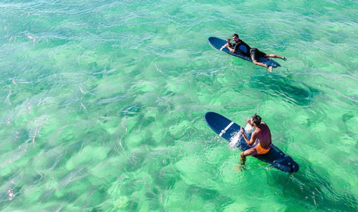 Vegan Surf Camp Hits the Waves in June