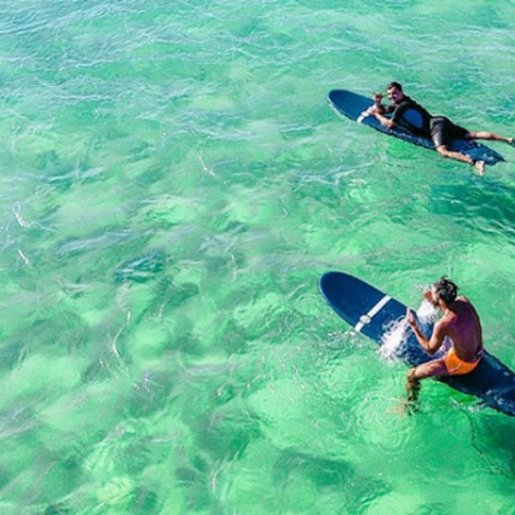 VegNewsVeganSurfCamp