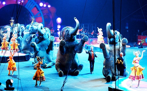 Ringling Bros. Circus Holds Its Final Show