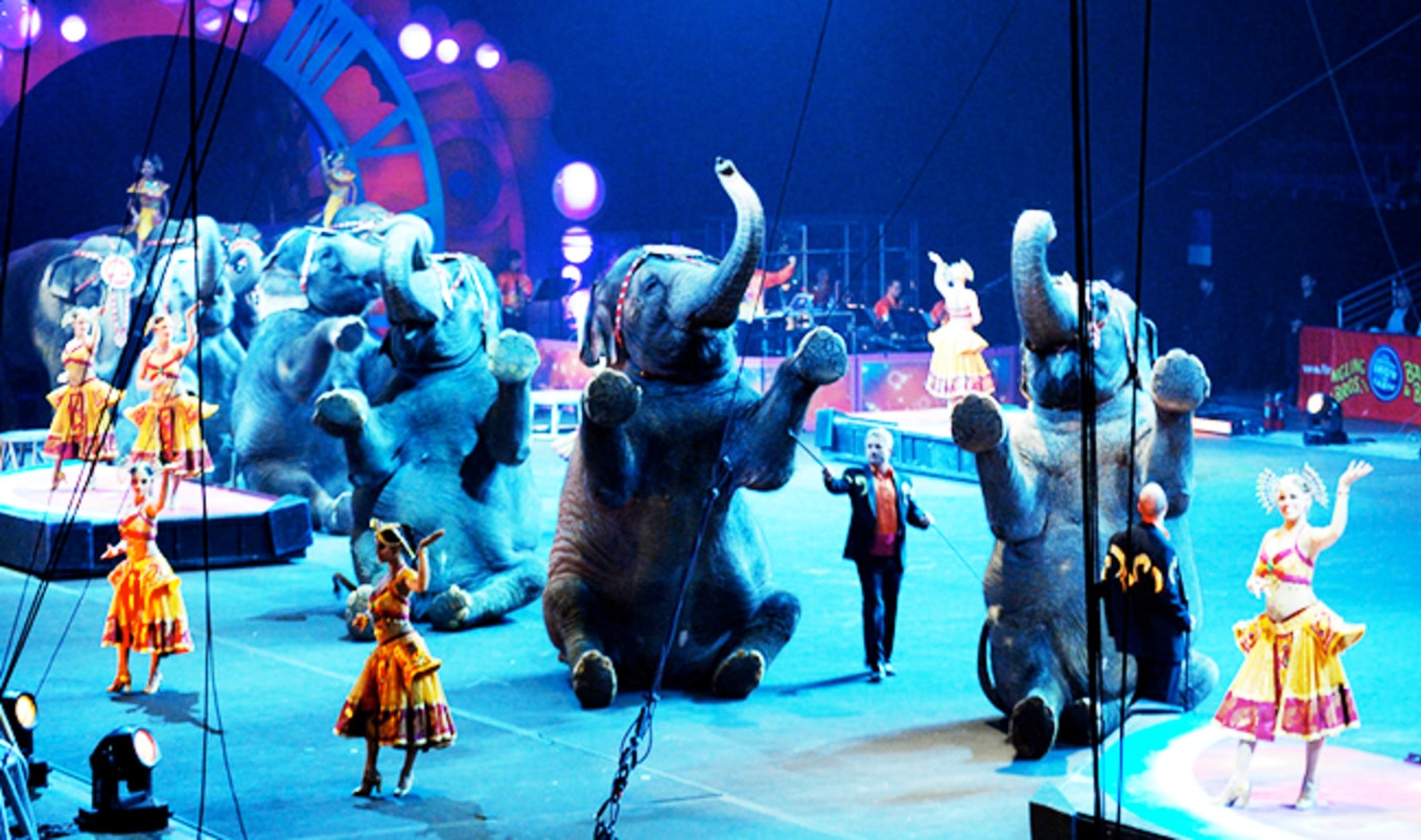 Ringling Bros. Circus Holds Its Final Show
