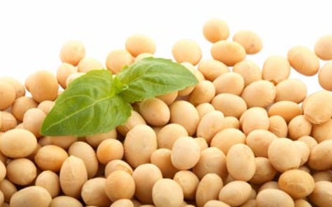 New Soy Studies