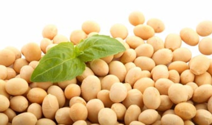 SoyBeansVND