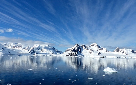 <i>New York Times</i> Points to Steak for Antarctica's Demise