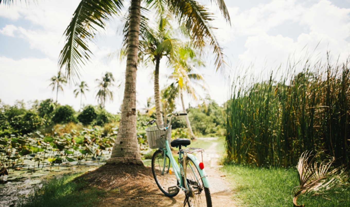 4 Reasons Vegans Should Consider a Detox Vacation