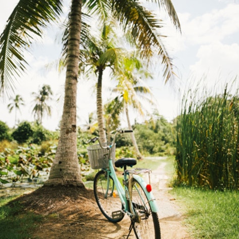 4 Reasons Vegans Should Consider a Detox Vacation