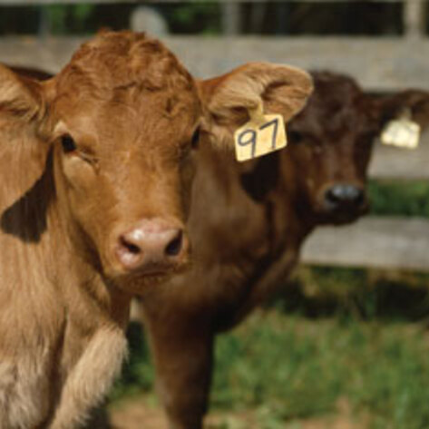 State Improves Standards