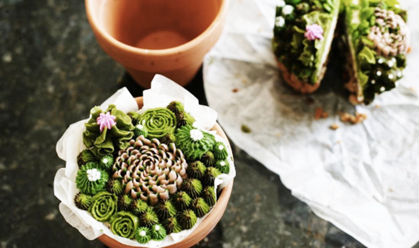 Nashville Baker Turns Cacti into Vegan Desserts
