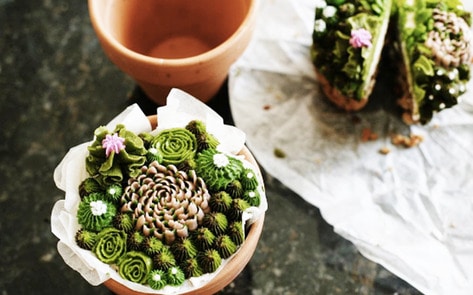 Nashville Baker Turns Cacti into Vegan Desserts