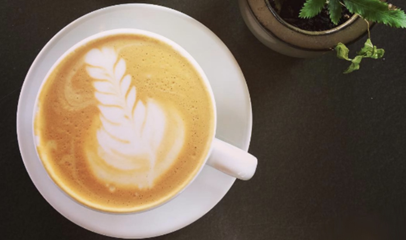 Vegan Punk Café Opens Next to PDX Vegan Grocery