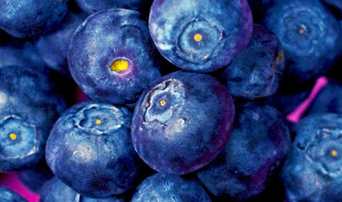 VegNews.Blueberries1